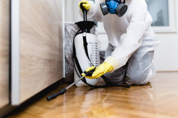 Best Cockroach Control Services  in Mayfield, OH