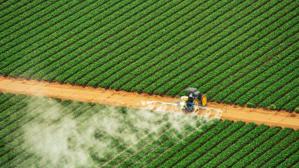 Best Affordable Exterminators  in Mayfield, OH