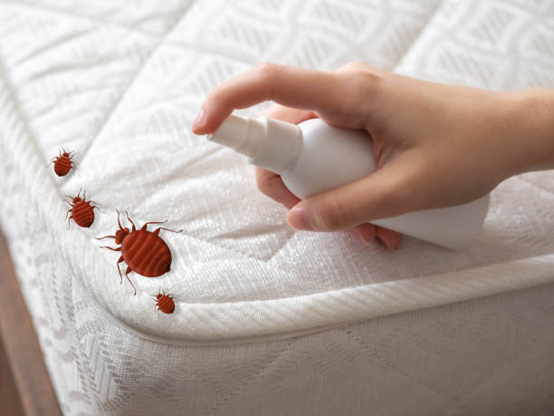Reliable Mayfield, OH Pest Control Solutions