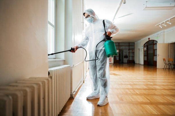 Best Wasp Removal Services  in Mayfield, OH