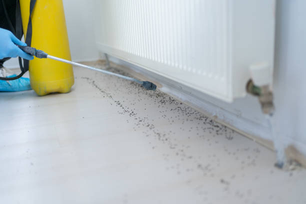 Best Emergency Pest Control  in Mayfield, OH