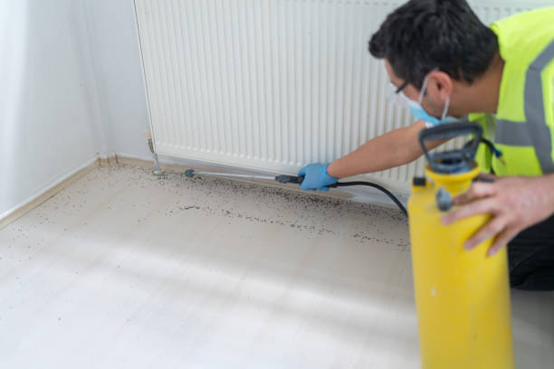 Best Termite Control Services  in Mayfield, OH