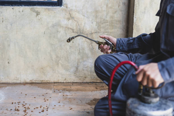 Best Emergency Pest Control  in Mayfield, OH